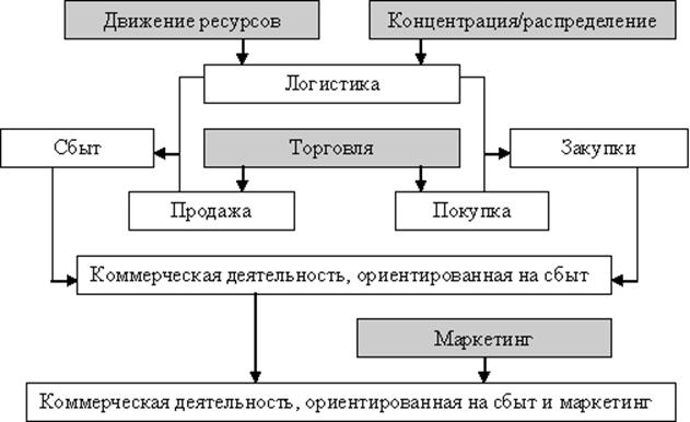 Содержание основных видов коммерческой деятельности предприятий